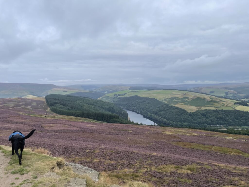 View towards Ladybower Reservoir from the Win Hill summit