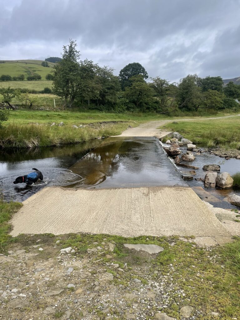 Weir with dog paddling and hills in the background